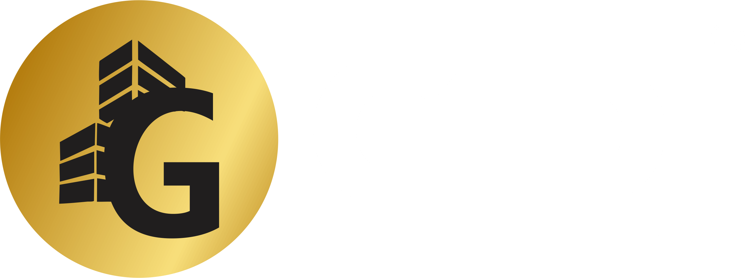 Gidi Real Estate and Investment